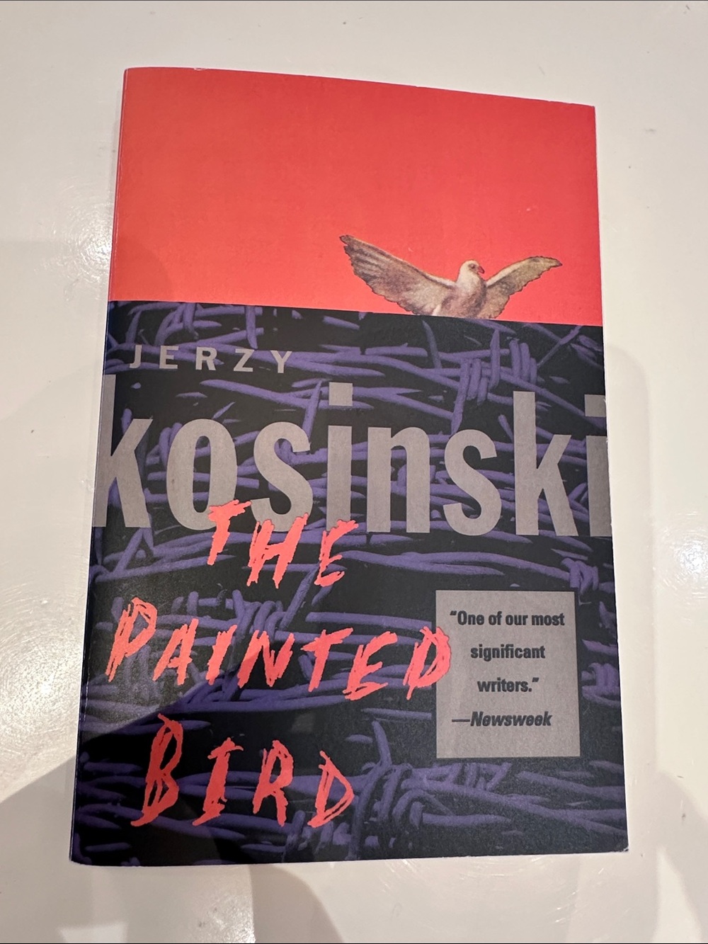 Book The Painted Bird by Jerzy Kosinski - Red & Black Cover